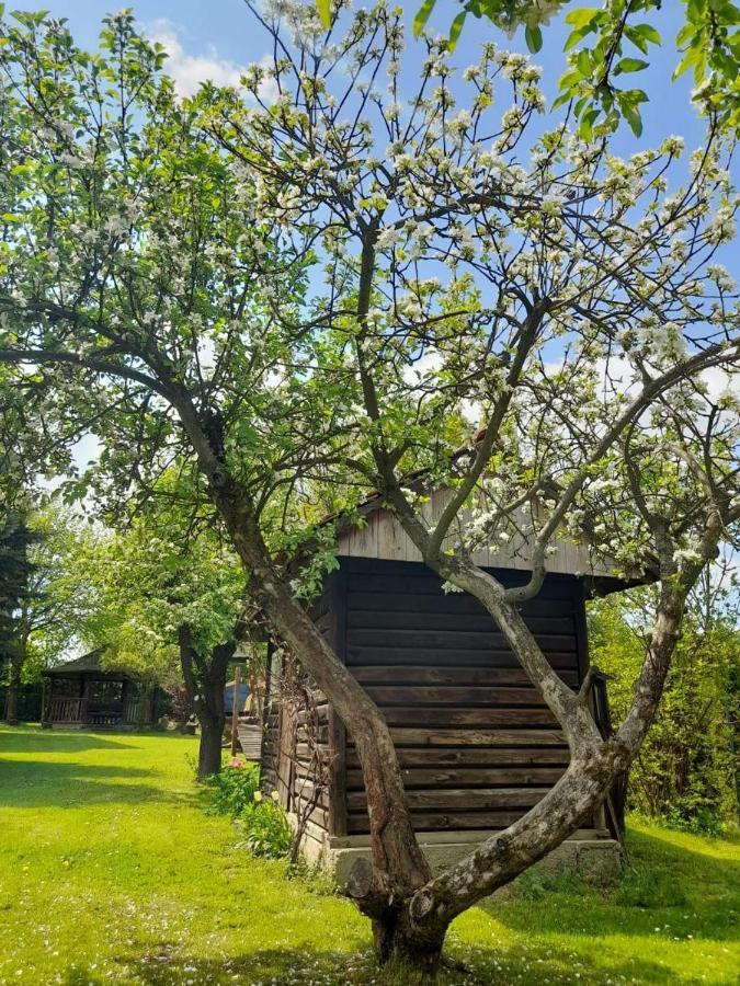 Agroturystyka Stokrotka Rymanow-Zdroj Exterior photo
