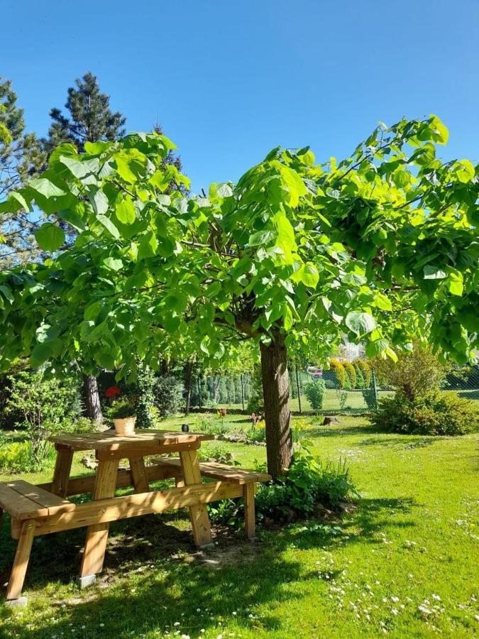 Agroturystyka Stokrotka Rymanow-Zdroj Exterior photo